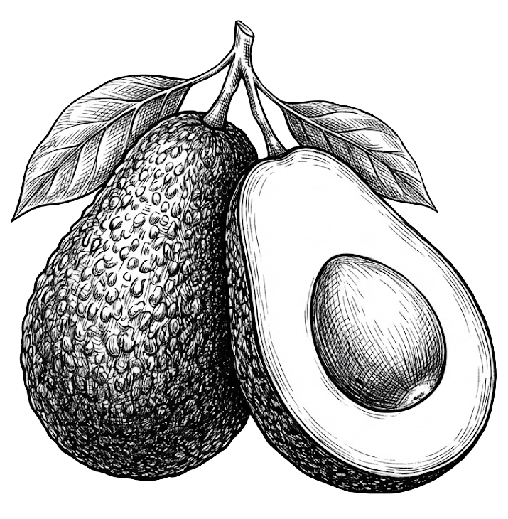 Aguacate Hass Premium