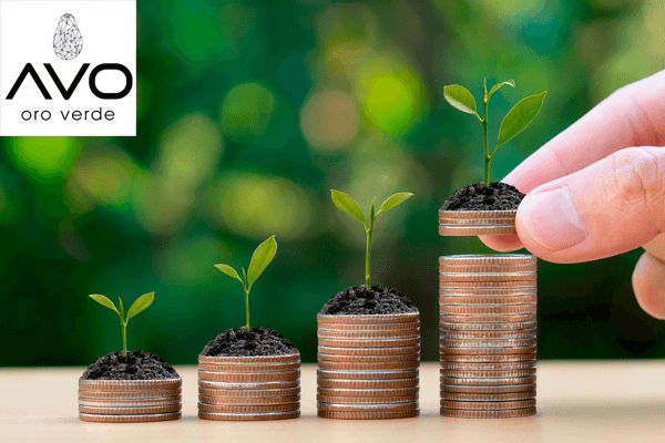 avo oro verde