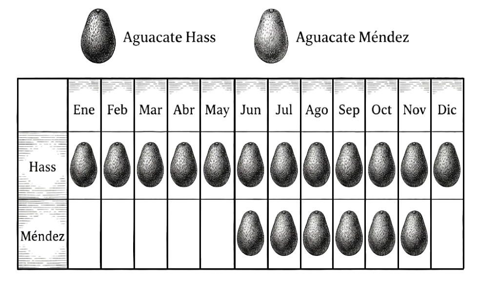 Tabla de disponibilidad de Aguacate